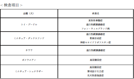 検査項目