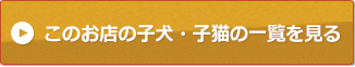 このお店の子犬・子猫の一覧を見る